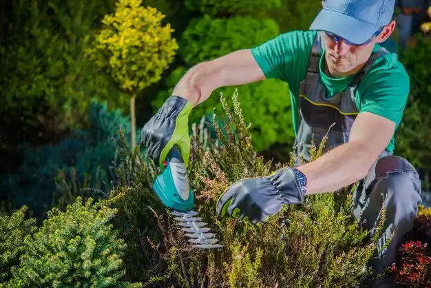 landscaping services East Ithaca